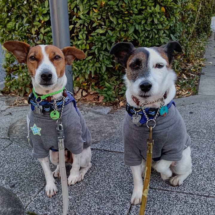 332c3540 5c7e 4815 badc f9aecab6a68e 1638224490839