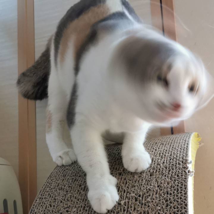 332c55d9 bdb3 4498 a2a2 b8c8d6097362 1667191848411