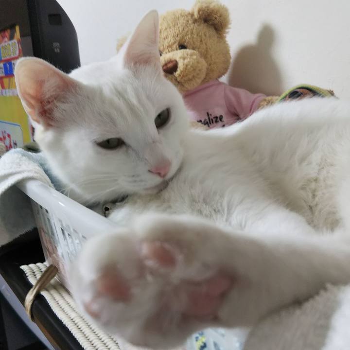 332c7894 2fcb 47e6 906e b497b8c24af4 1642815387772