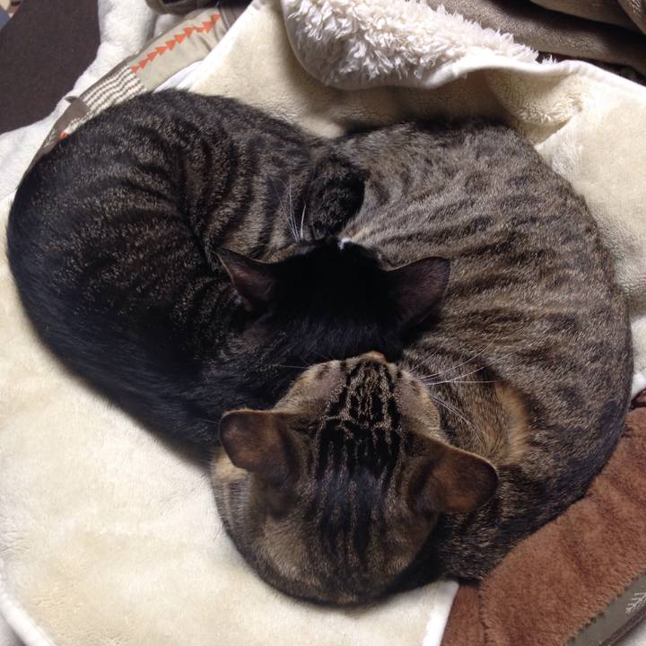 332c7e77 a325 4466 a331 ae0ca982ce93 1508989561155