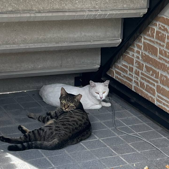 332c7fad b2bd 4a88 81c5 ab46c8d09efd 1662191890091