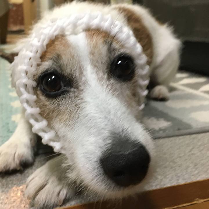 332d1ae3 d039 4d7d 8f04 d26b22b7038d 1627341679133