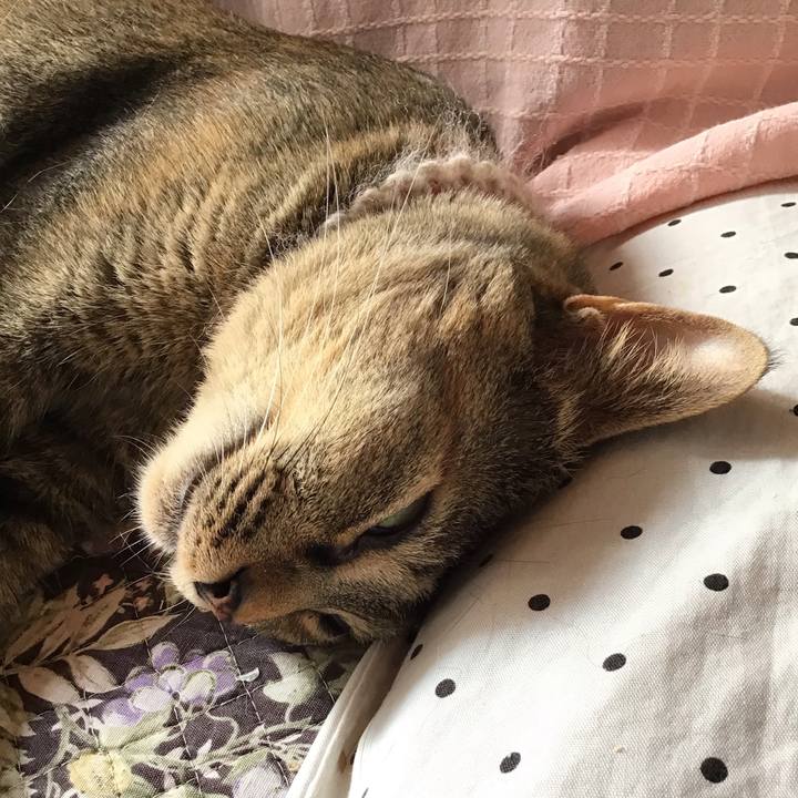 332d1e38 24fe 4070 be07 c59eeeb0ead7 1654387170874