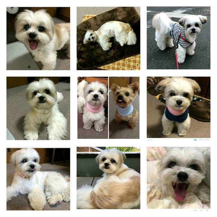 332d2849 7771 44de ab2b 5a7e5f190767 1532356146302