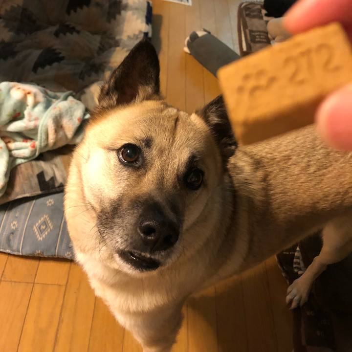 332d710c 5762 40f2 a2e3 8397cee1ae5c 1618923240875