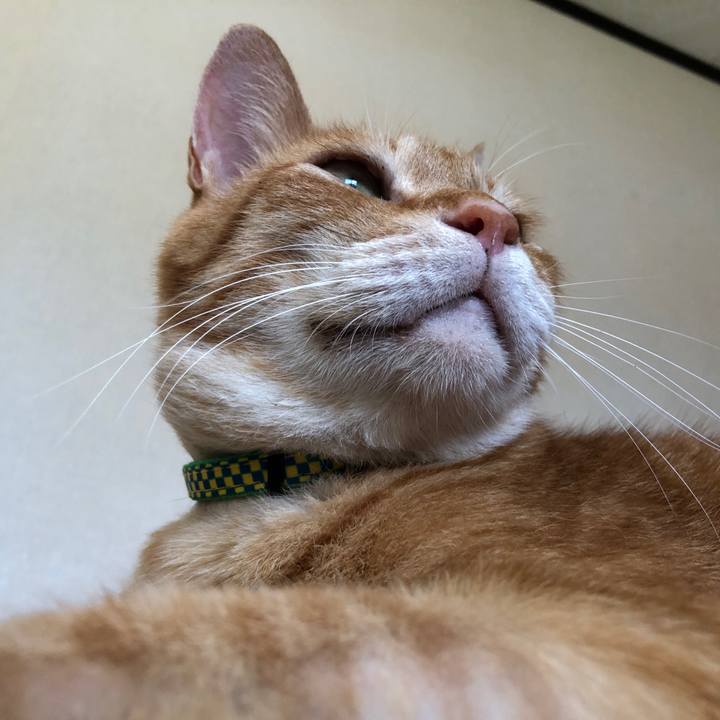 332d905c 72cb 466a 9252 7d1e6d091127 1724460054959