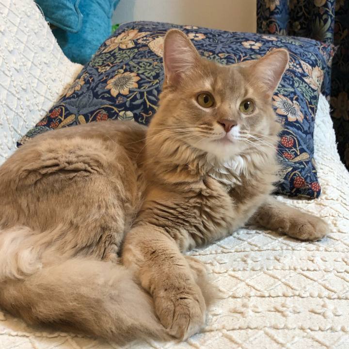 332dbc17 3fa2 4bc9 9e8f 82fd54941088 1565746279149