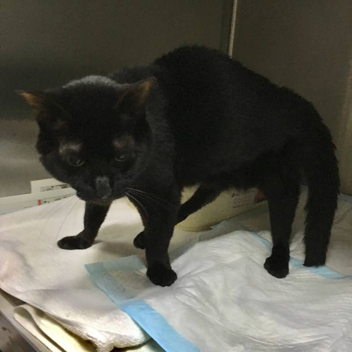 332dcb6f 9732 4eec bf8f efed8ace4b60 1561416551249