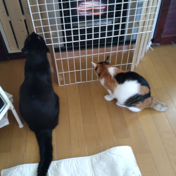 332df365 7afc 4408 a932 23ea4652a647 1695511048232