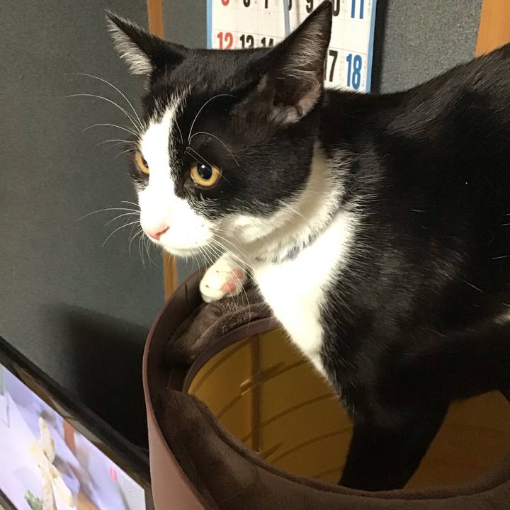 332df8dd f67e 429e bbee d61e4eeae0eb 1638312711416