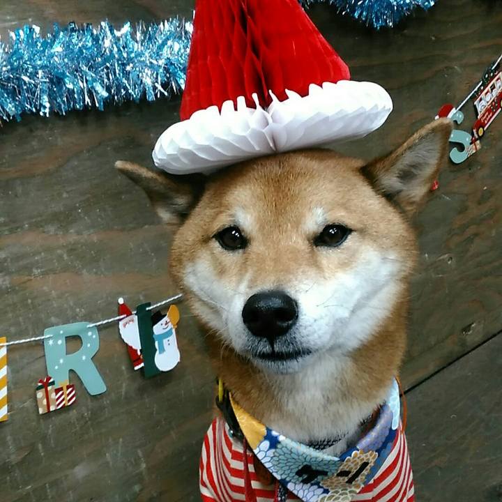 332e0c0c 8519 4c6a a0a7 99f4edda6437 1575716511274