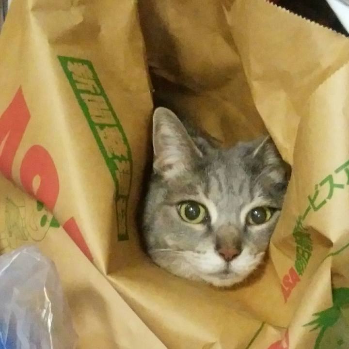 332e34d6 2a2d 4a18 9ed1 f4f8193daefb 1556104508909