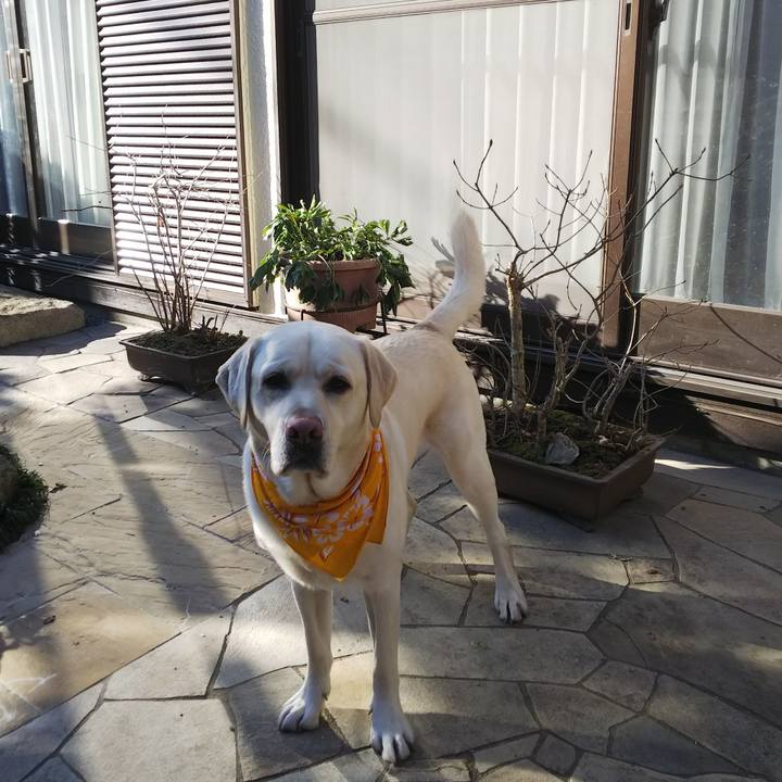 332e528b 680b 4f54 8958 d35d9dc6cfe5 1548227692212