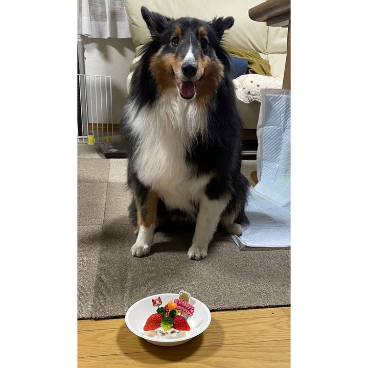 332e5ceb b379 4f31 958e 47dd30b304c8 1616450648429