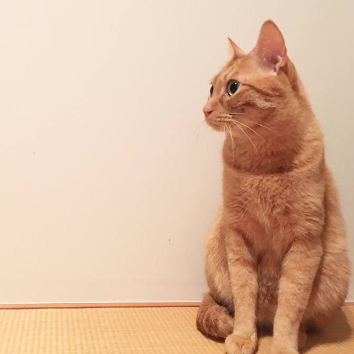 332e7783 2d7c 41af a3ed fdcd568ff756 1568037039380