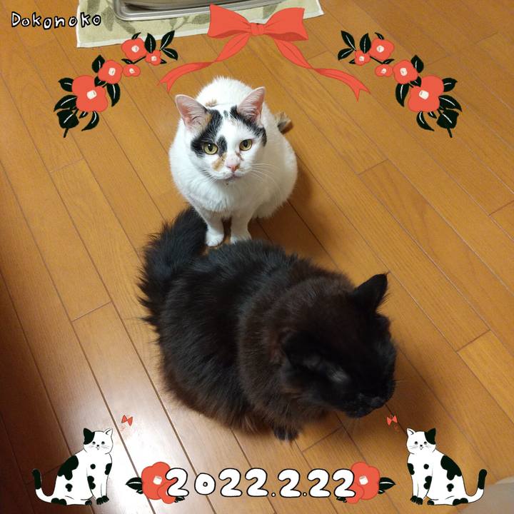 332e79e8 45ba 4aaf ba8b 3784d7313e93 1645539754035