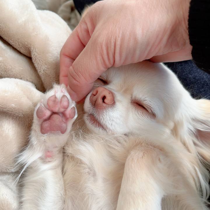 332e8e66 f8f2 44af 87de 63d293b9b19e 1710754120453