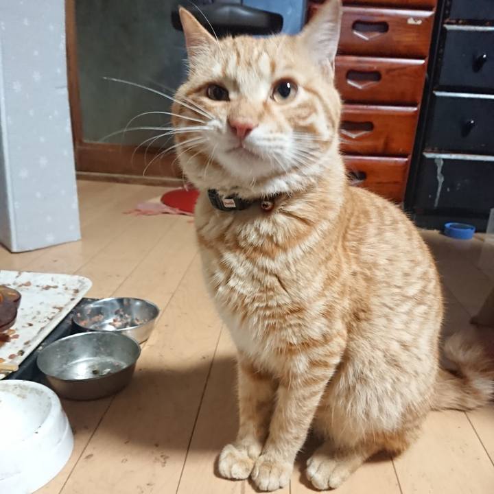 332eb869 e9e7 4d45 9017 58bdfd65ee86 1648328847091