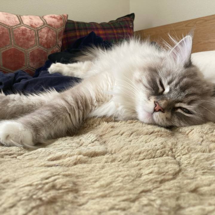 332ec82e 0f8d 4bbb 881b fd99ed98b883 1740196537664