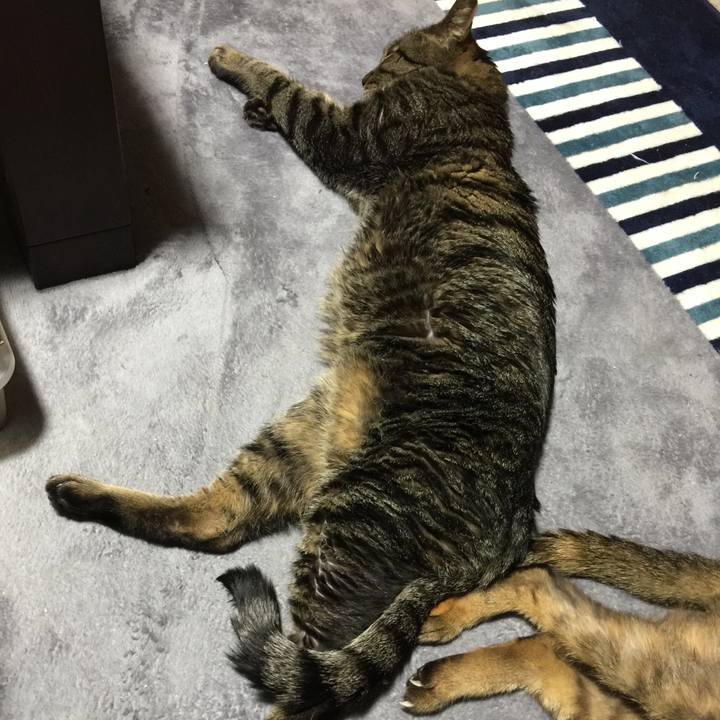 332ece71 d57c 4131 a3d9 4fffd39dee97 1532171651050