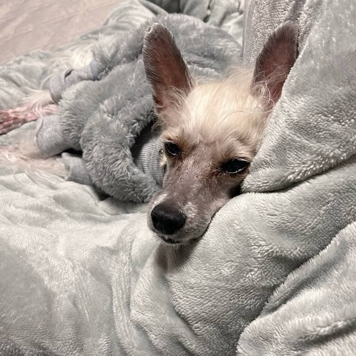 332ee50c 779f 49b1 8b2c f81a12ff1851 1766584061774