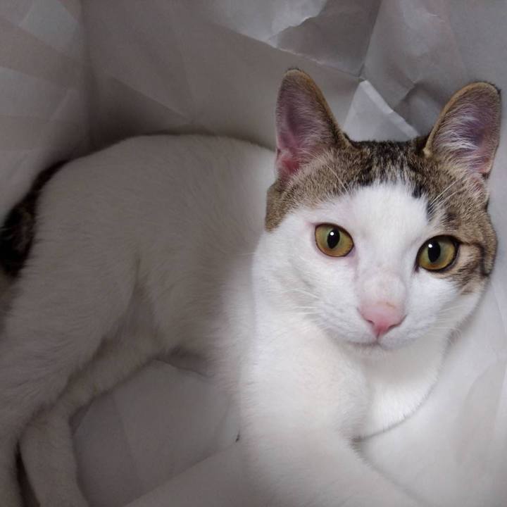 332eed57 e5e9 4a3c ad6d a8f39cc42c59 1648543400023