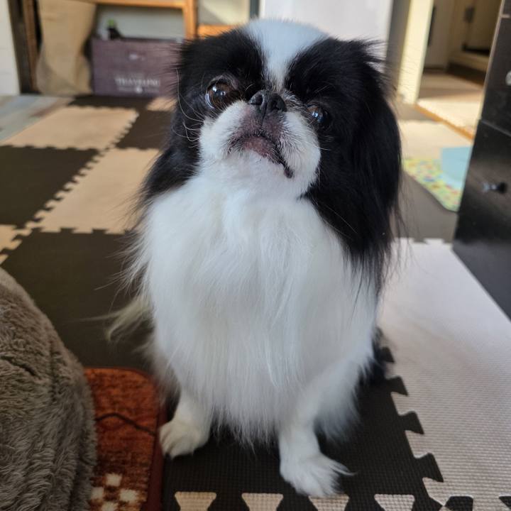 332f828a e5d4 494f 99a6 cd9b60b297ce 1745659162160