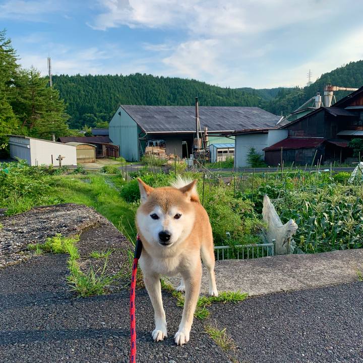 332f880c c15e 40b8 93f5 ef19f3eb683d 1656406062934