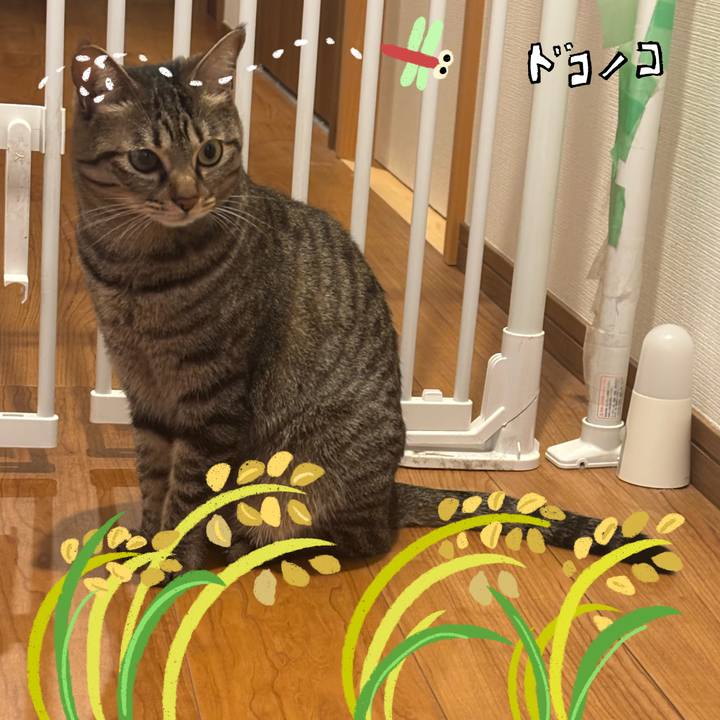 332fa77c 2c60 481c 8b51 b1a7c61e9dbb 1761269477085