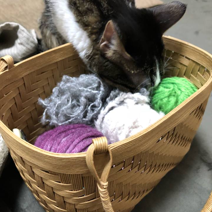 332fdf26 0f0d 46d8 a6f7 51a053735481 1515442479659