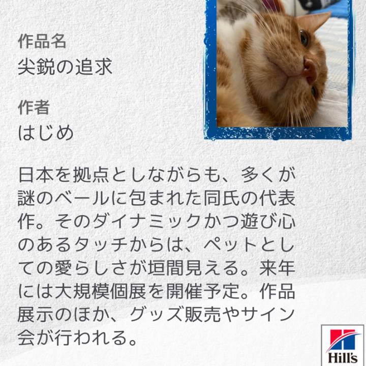 332fed54 d64a 484a a5a7 f436aed2b250 1600769350733