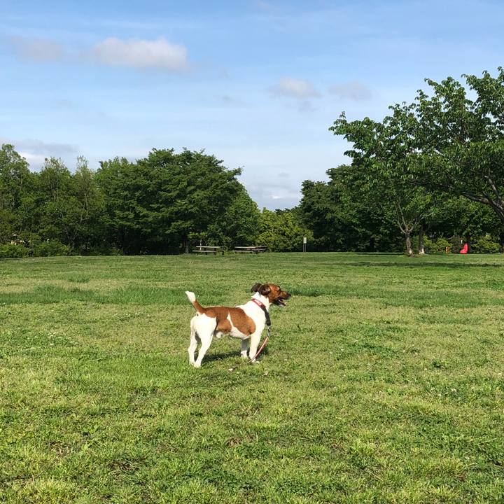 33300288 42e7 4e67 8fe2 cf0c08113b23 1524696507854