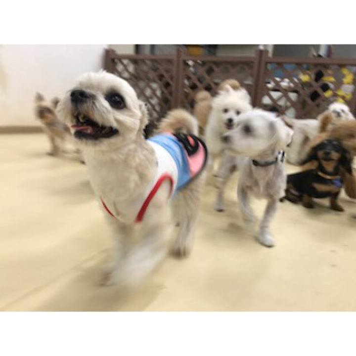 33301ff1 fdcb 40b7 b402 4a62955e3035 1542626642178