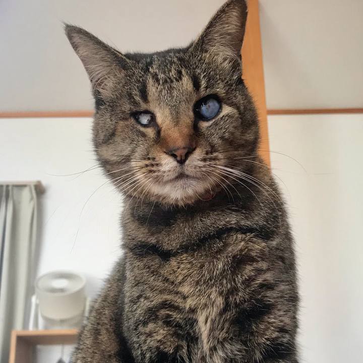 33302621 c000 4630 b612 c8e1671559bb 1610072979846