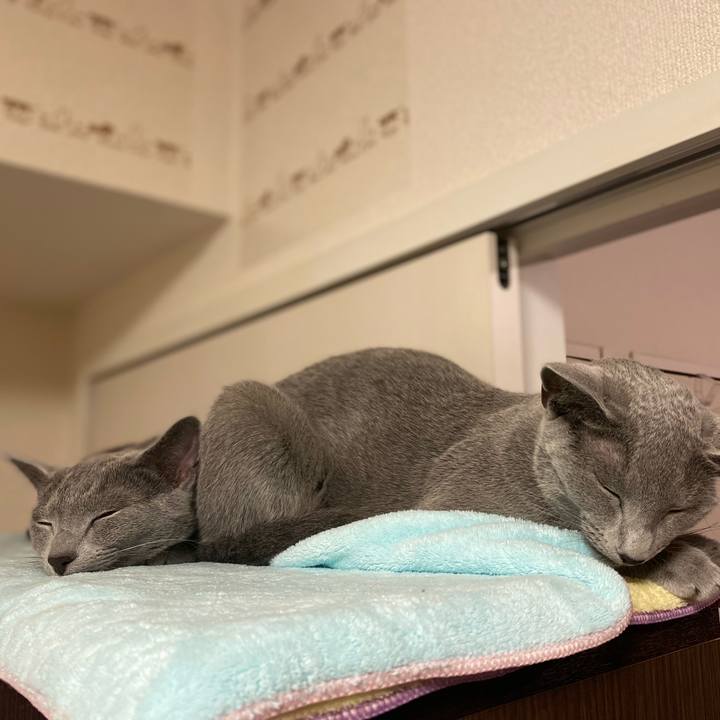 33304151 8111 435e b1c9 16c6adeda0a4 1624448791688