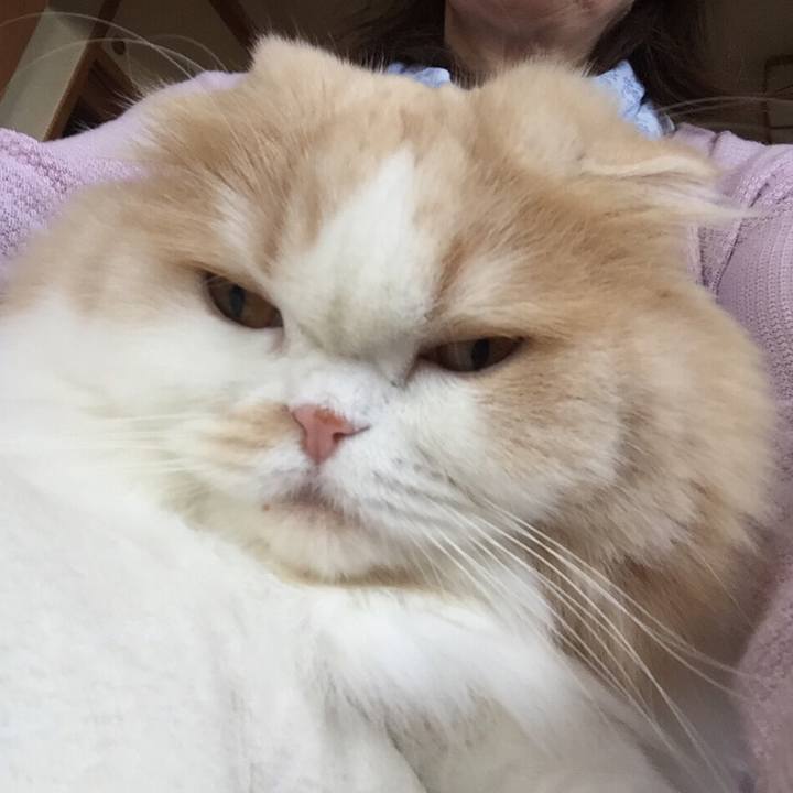 33304547 8df9 4402 8dda 2fcfb72b0e04 1530221906495