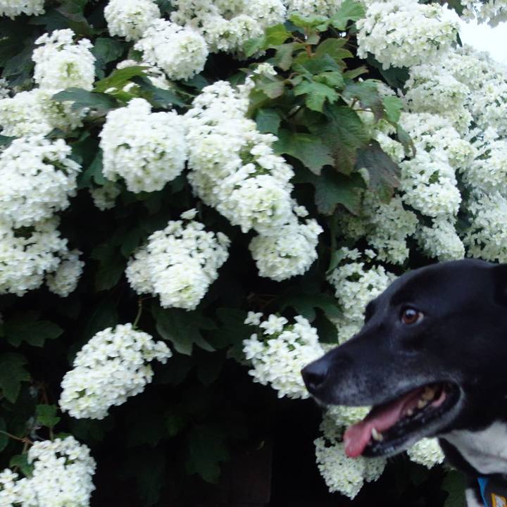 33306b9b b74a 4b3d b54d f8ef4a20ad5b 1685453956355