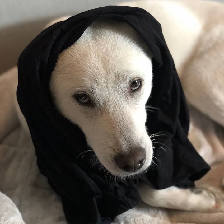 33306ed1 e514 4e72 a4ac 068676557783 1543596071629