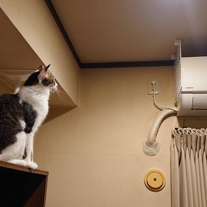 3330860e db7e 413f adf2 861ea6f78ebb 1656636619605