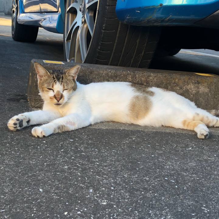 333090ad 6d4e 4475 bc65 4676bec78318 1534968532347