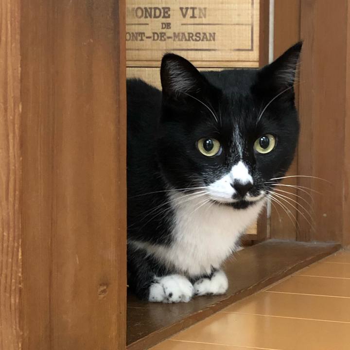 3330a3d7 2bf8 4f23 967f faed9a532960 1601610312441