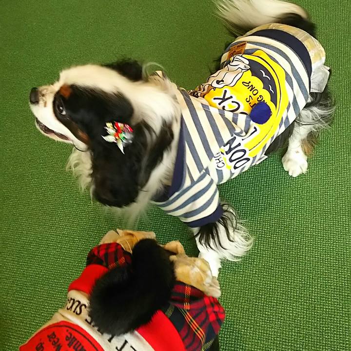 3330b4f5 7666 44d8 a5bc 9e91aad4f219 1546748245549