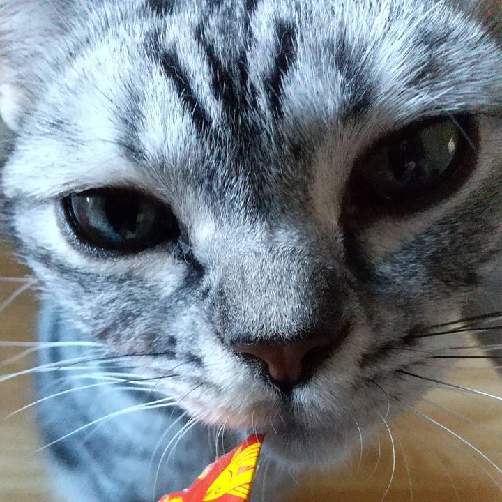 3330e02a 2567 4bf1 abbb 4452673075a1 1632215890423