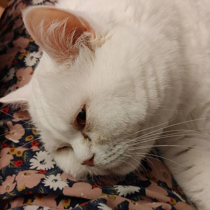 3330e5e2 35db 4dd4 8f56 51d609e0d384 1615679716773