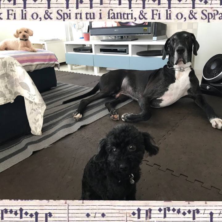 33311fa0 d50c 402a a532 e37fc6d977ea 1531175718047