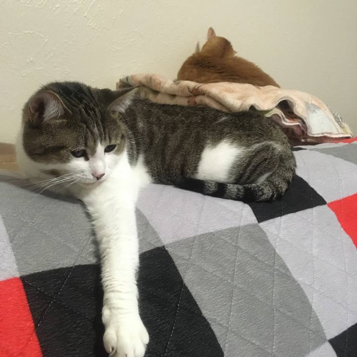 333123ed 5099 4154 a882 19e25a78e9c5 1637718967704