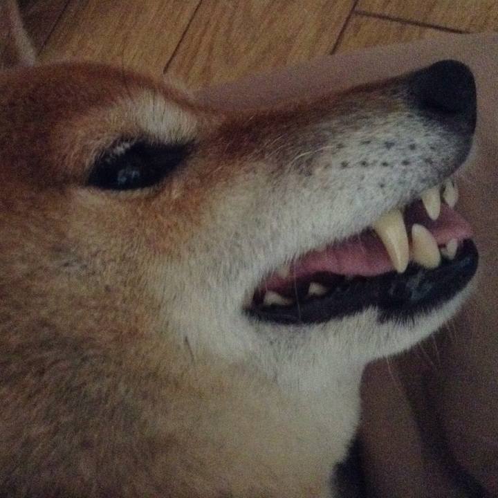 33318360 4bae 49aa bcb8 ab8e46256cfc 1528533928216