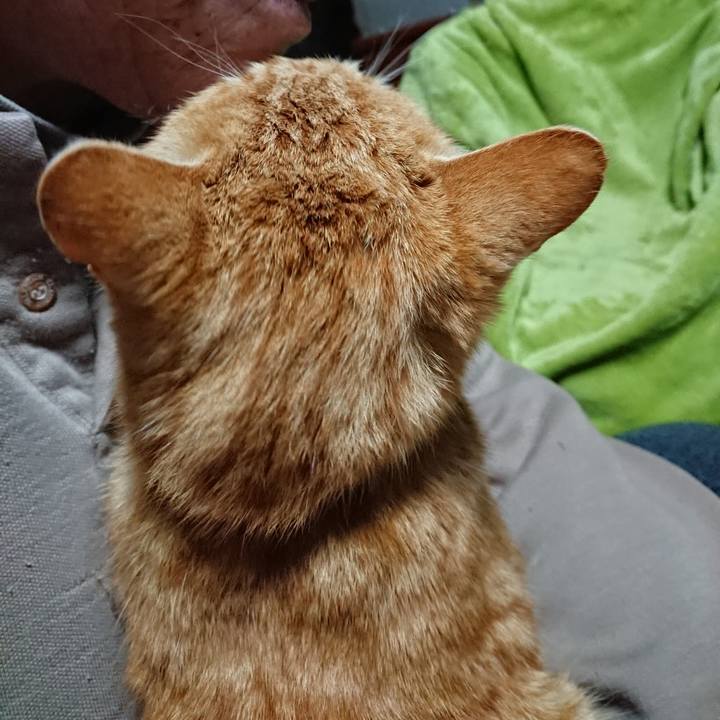 333198d7 1ae5 4aeb bb84 b3640d87c420 1584388774419