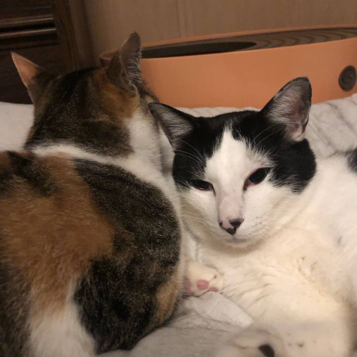 3331fcec adc4 4784 b6b2 0eab3f5b9003 1588697977331