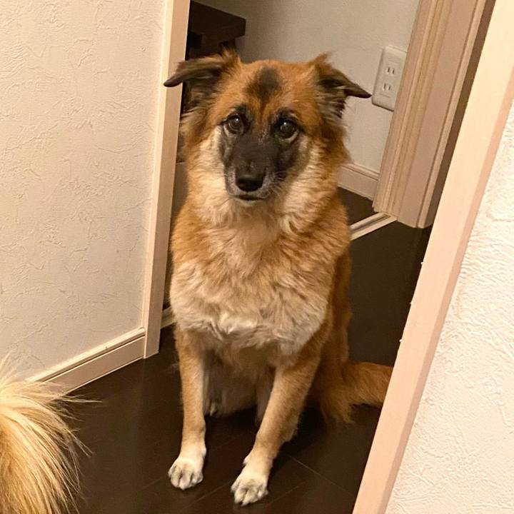 333208d6 d640 40c1 9244 9abc32d62ffb 1764409113912